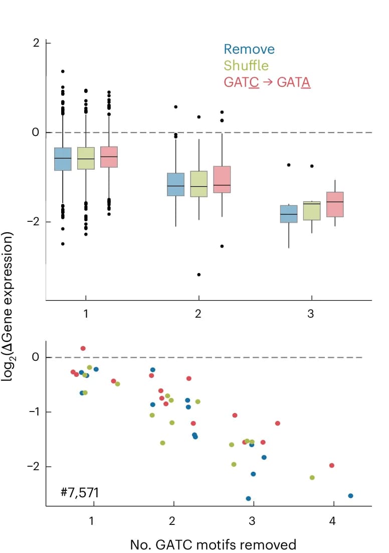 Open access visualization of Box Plot, Scatter Plot, GATC Motifs, Deletion, Mutation