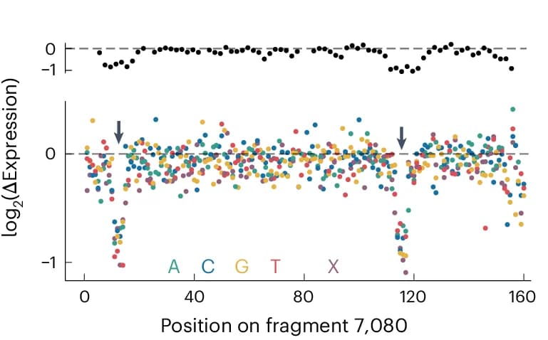 Open access visualization of Scatter Plot, Line Plot, Deep Mutagenesis, Deletions, Mutations
