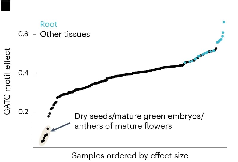 Open access visualization of Scatter Plot, GATC Motif, Effect Size, Gene Expression, Tissue-Specific