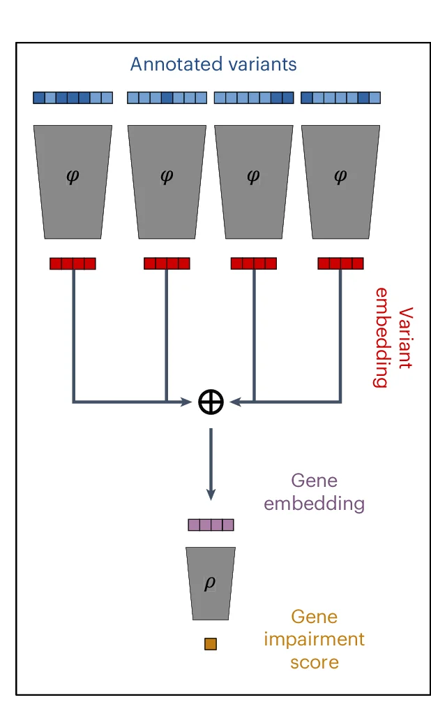 Open access visualization of Workflow, Flowchart, Illustration, Gene Impairment Module, Neural Network