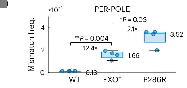 Open access visualization of Box Plot, Scatter Plot, Polymerases, Error Frequency, PER-seq