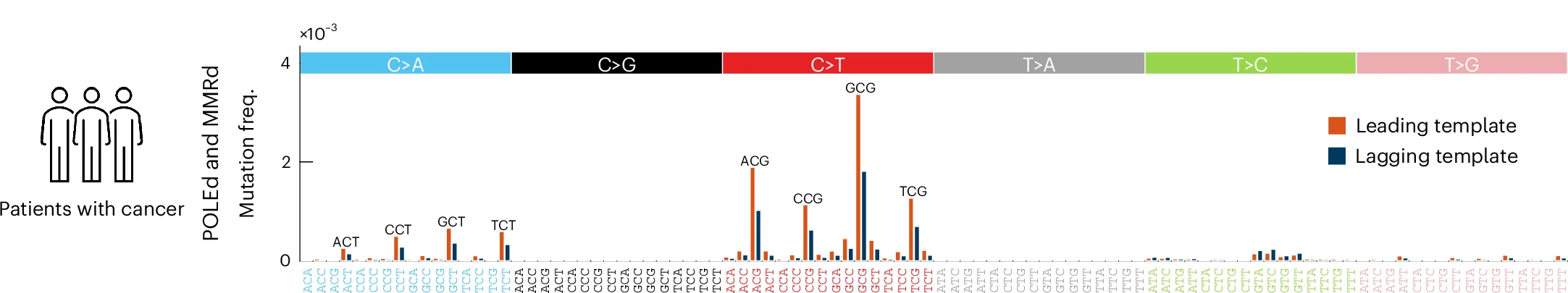 Open access visualization of Bar Plot, Clustered, Mutation Frequency, WGS Data, POLEd Cancers