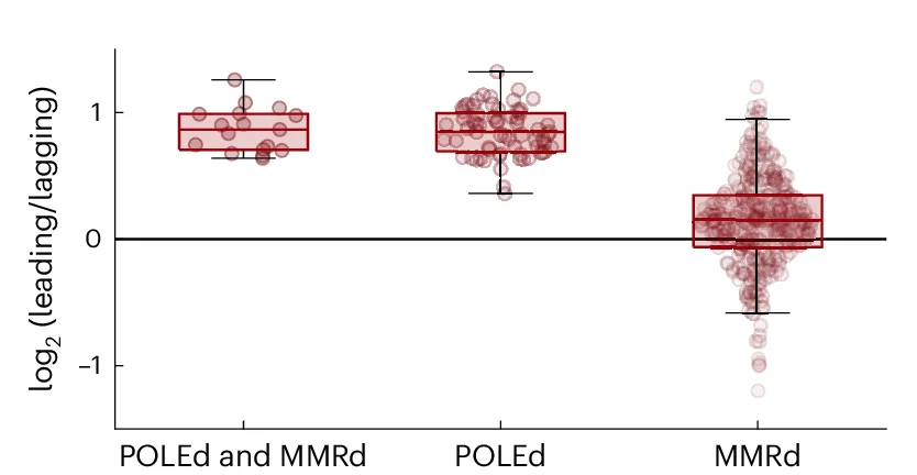 Open access visualization of Box Plot, Scatter Plot, Violin Plot, CpG>TpG Mutations, Leading Strand