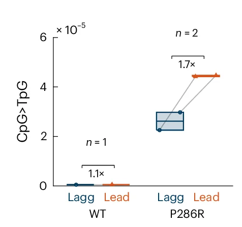 Open access visualization of Box Plot, Scatter Plot, Line Plot, CpG>TpG Mutation Frequency, mES Cell Clones