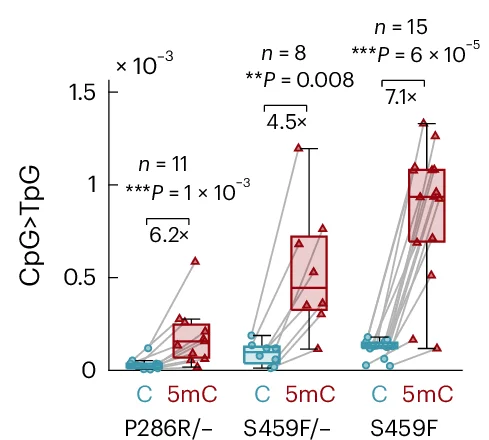 Open access visualization of Box Plot, Scatter Plot, Line Plot, CpG>TpG Mutation Frequency, Mouse Tumors