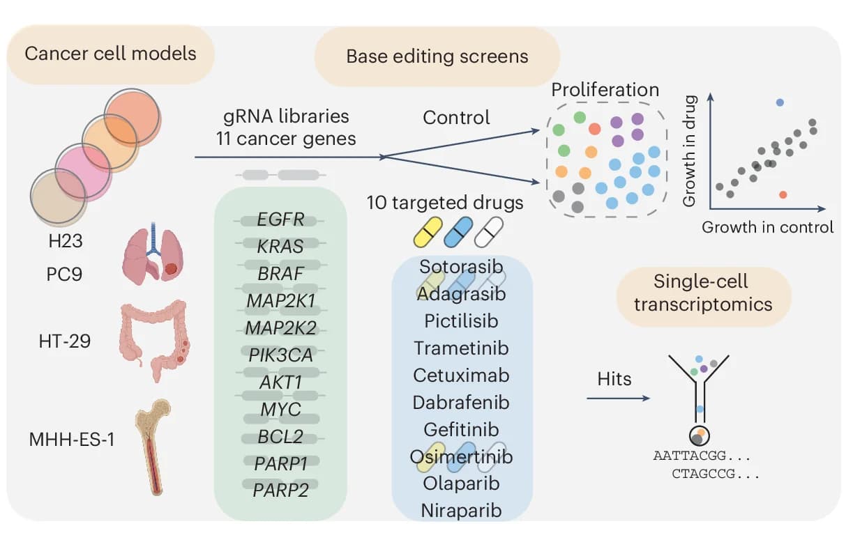 Open access visualization of Workflow, Scatter Plot, Venn Diagram, Illustration, Base Editing