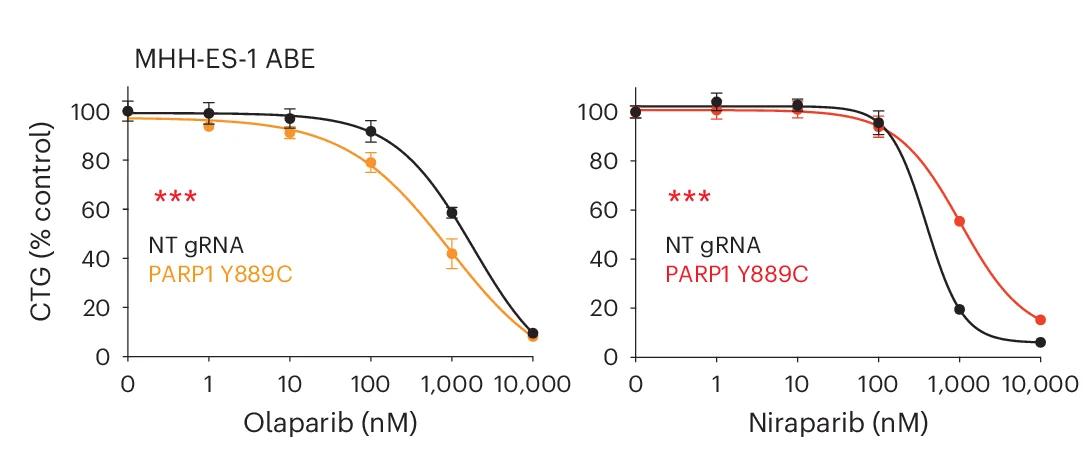 Open access visualization of Line Plot, Error Bars, Dose Response Proliferation Assay, MHH-ES-1 ABE Cells, NT Control gRNA