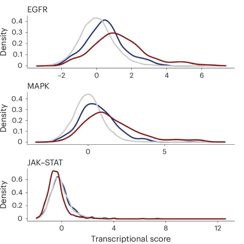 Open access visualization of Density Plot, PROGENy Pathway, Scores, Variant Groups, ABE Dataset
