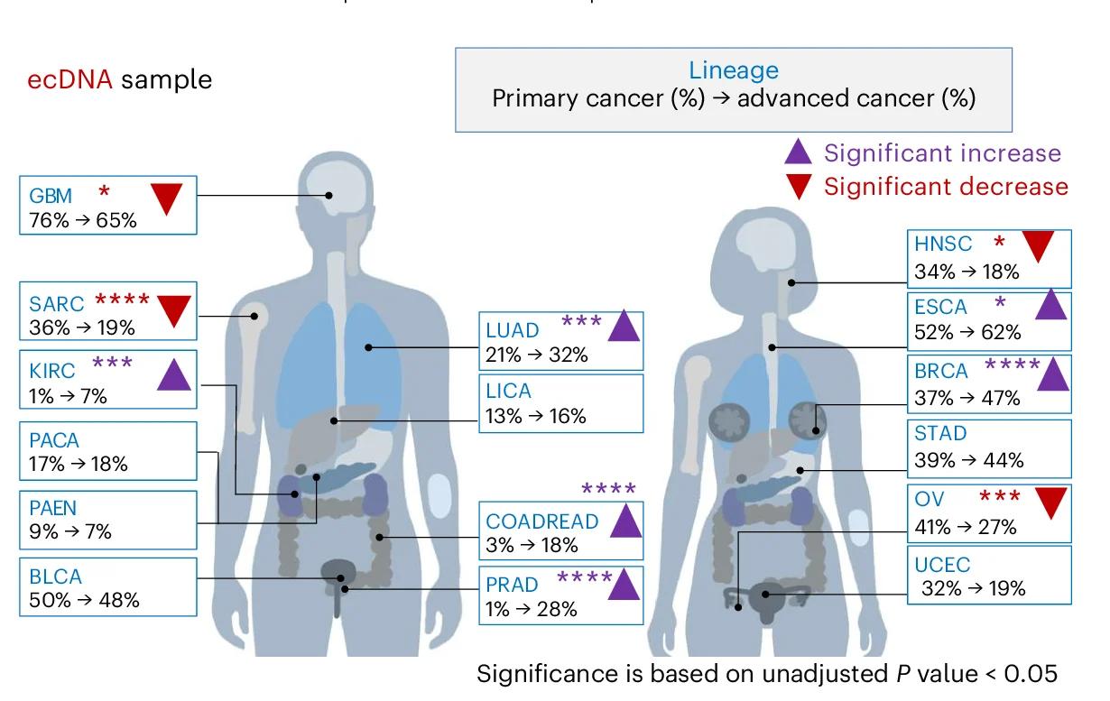 Open access visualization of Illustration, ecDNA, Samples