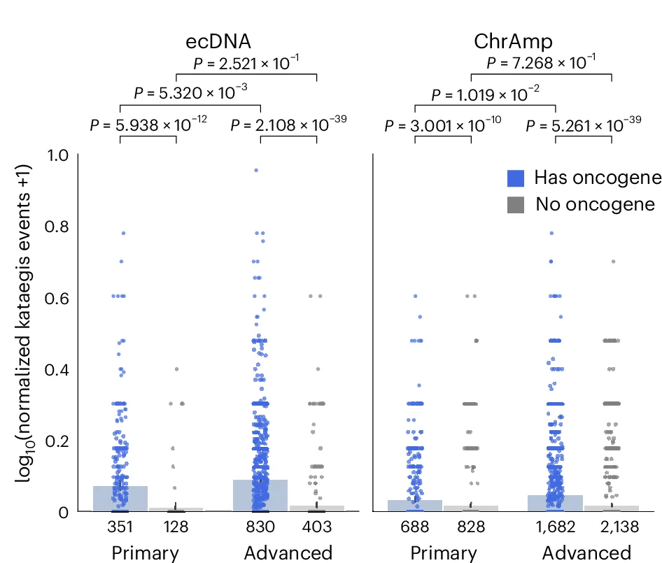 Open access visualization of Scatter Plot, Bar Plot, Kataegis, ecDNA, ChrAmp