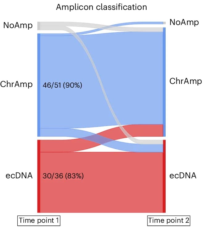 Open access visualization of Sankey, Amplicon, Tumor, Classification, Sankey Plot