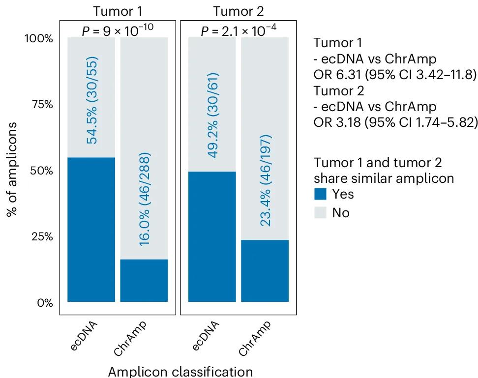 Open access visualization of Bar Plot, Stacked Bar Plot, ecDNA, ChrAmp, Amplicon
