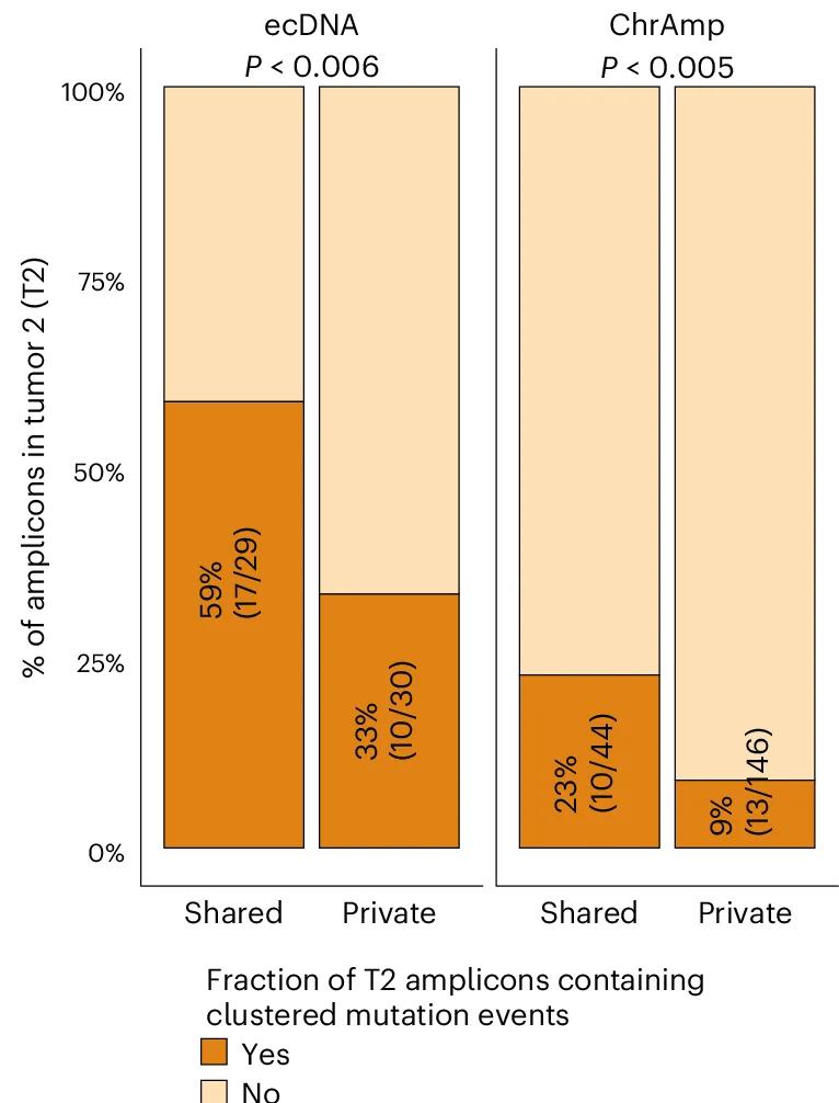 Open access visualization of Stacked Bar Plot, ecDNA, ChrAmp, Tumor