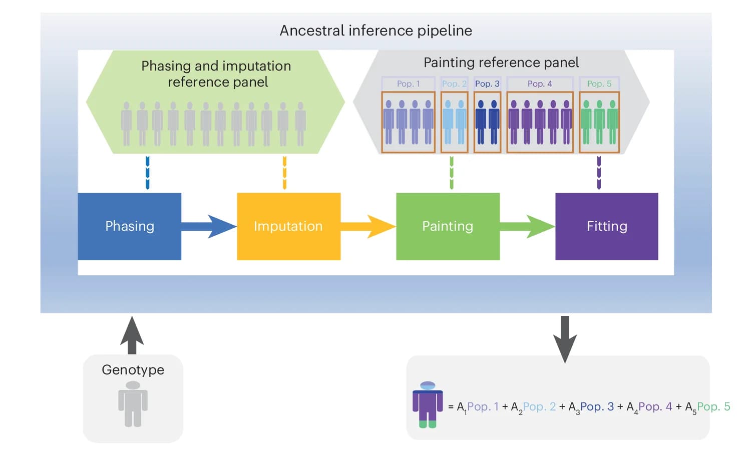 Open access visualization of Workflow, Flowchart, Ancestral Inference, Genotype Data, Microarray Data