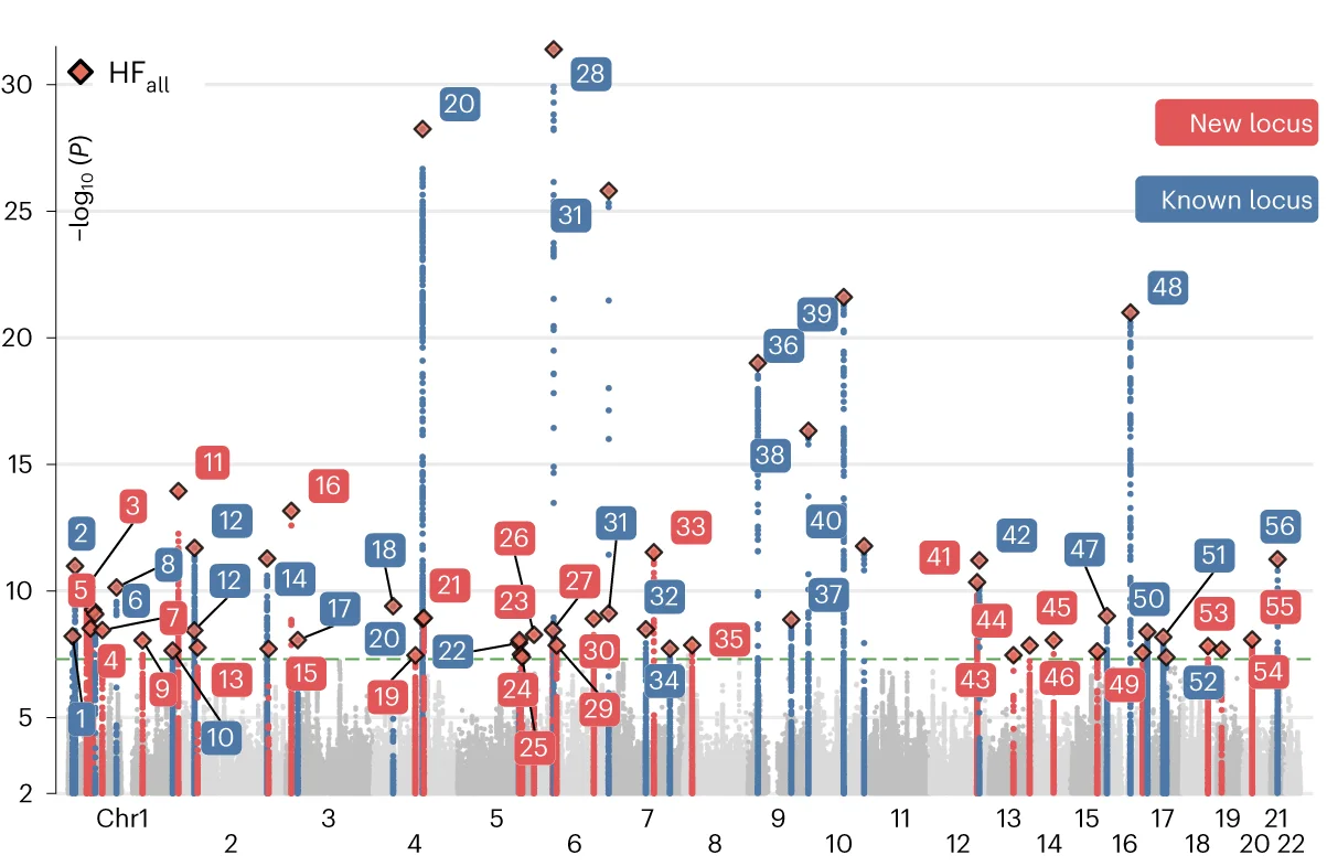 Open access visualization of Scatter Plot, Bar Plot, Manhattan Plots, HF Subtypes, Genetic Associations