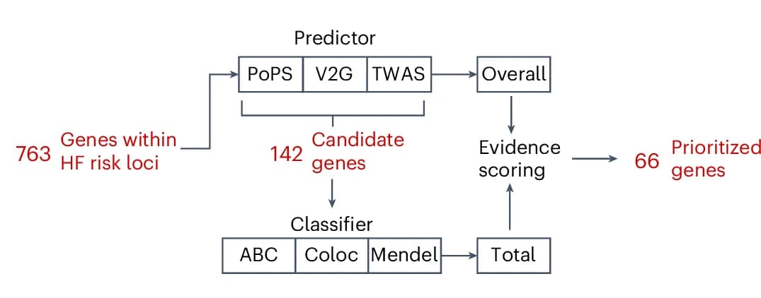 Open access visualization of Workflow, Flowchart, Schematic Diagram, Effector Gene Prioritization