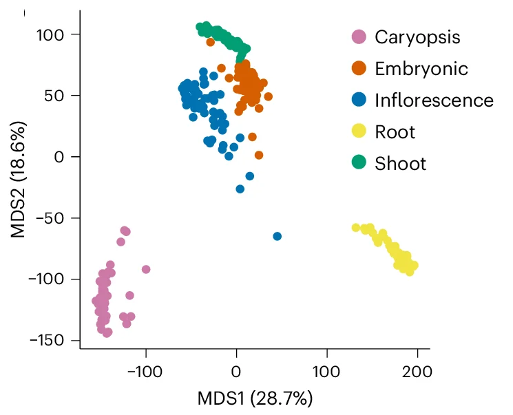 Open access visualization of Scatter Plot, PCA, UMAP, MDS Plot, Transcript Abundance