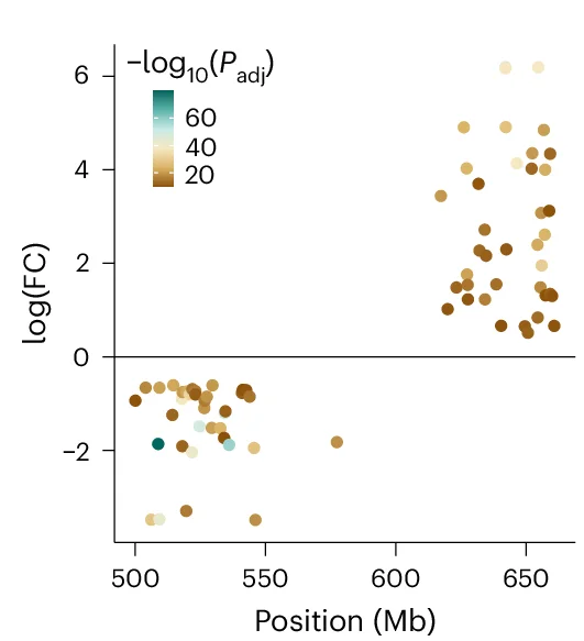 Open access visualization of Scatter Plot, Bubble Plot, Differentially Expressed Genes, Chromosome Inversion, Statistical Analysis