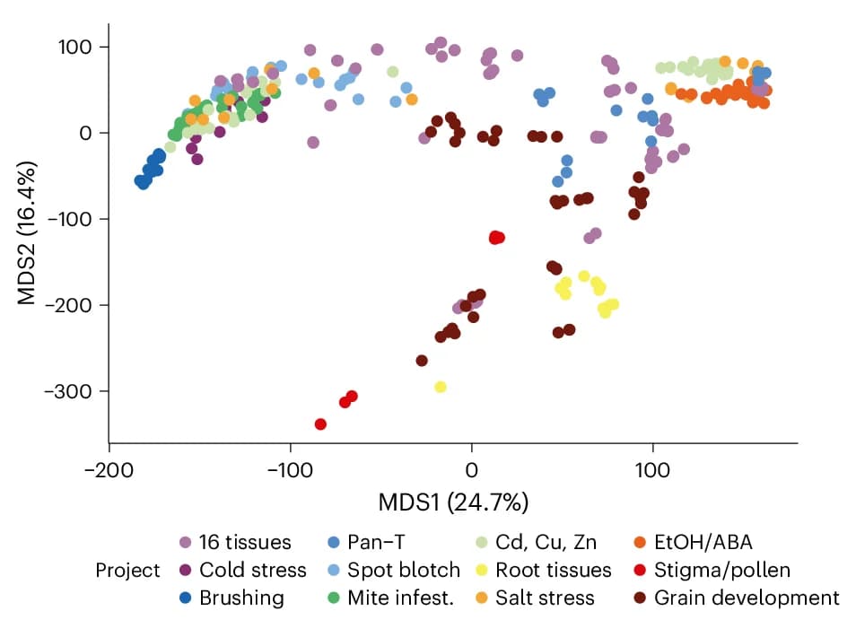 Open access visualization of Scatter Plot, UMAP, PCA, MDS Plot, Gene Expression Data