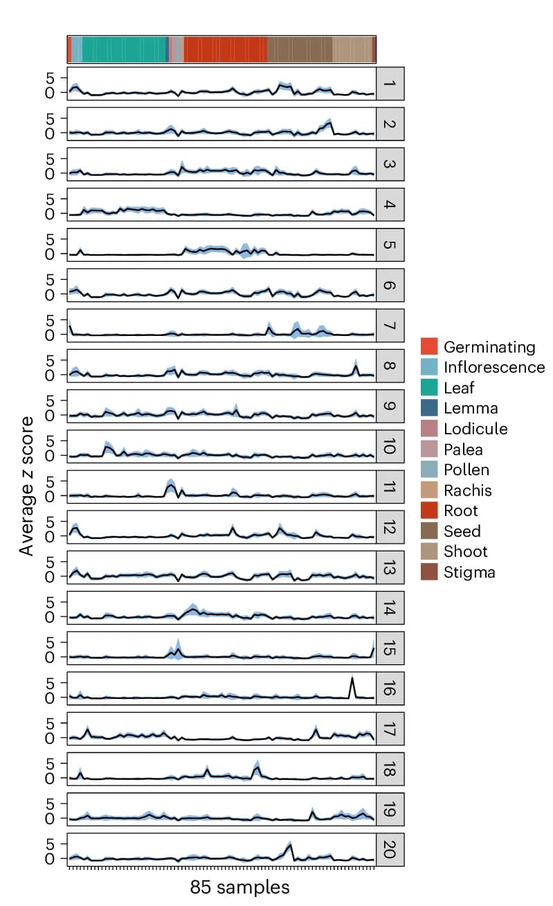 Open access visualization of Line Plot, Error Bars, Co-expression Clusters, Morex Genes, Z Scores
