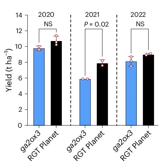 Open access visualization of Bar Plot, Error Bars, Clustered, Yield, ga2ox3 Mutant