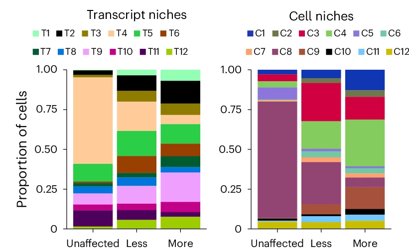 Open access visualization of Stacked Bar Plot, Bar Plots, Proportion of Cells, Unaffected Samples, Less Affected Samples