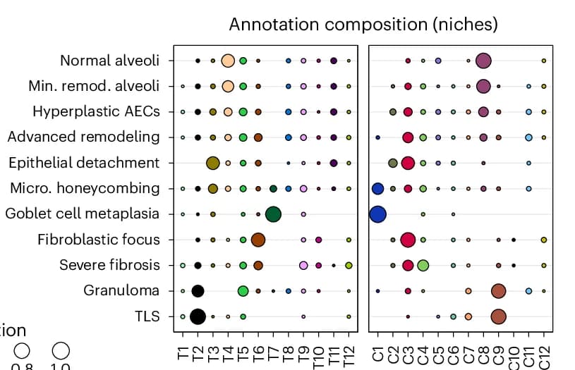 Open access visualization of Bubble Plot, Scatter Plot, Niche Composition, Annotations, Proportion of Cells