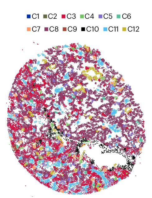 Open access visualization of Scatter Plot, UMAP, PCA, Cell Niches, Macrophage Accumulation