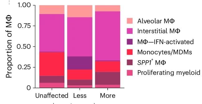 Open access visualization of Stacked Bar Plot, Macrophage Subtypes, Disease Severity, Cell proportion