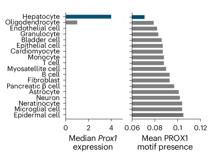 Open access visualization of Bar Plot, Prox1 Expression, Motif Counts, Signature Genes, Cell Types