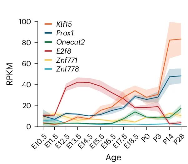 Open access visualization of Line Plot, Error Bars, RNA-seq, Hepatocyte, Mouse Liver Development