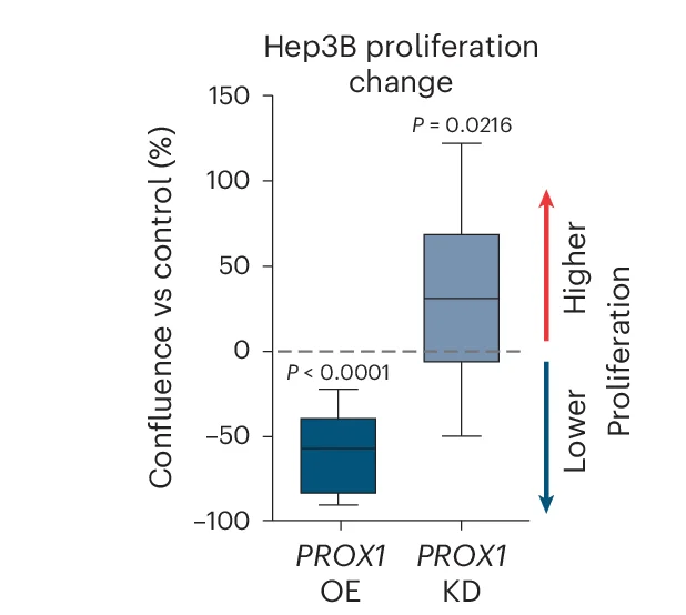 Open access visualization of Box Plot, Confluency, Hep3B Cancer Cells, PROX1 shRNA-KD, PROX1 OE