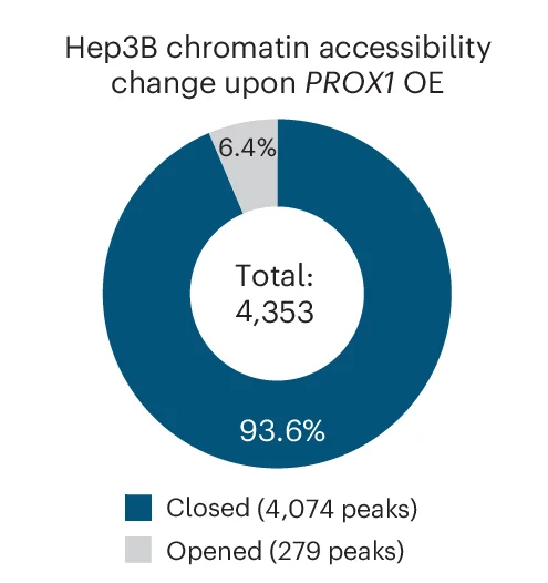 Open access visualization of Donut Chart, Pie Chart, Differential ATAC-seq Accessibility, Hep3B Cells, PROX1 OE