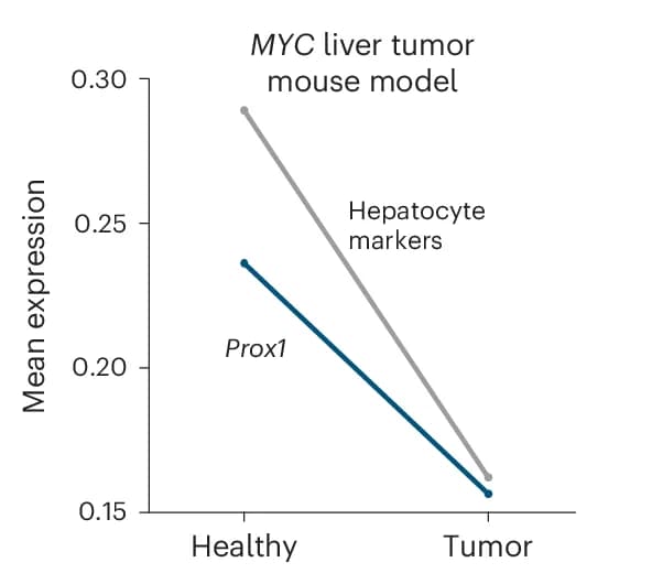 Open access visualization of Line Plot, Prox1, Hepatocyte Signature, Single Cells, Mouse HCC Model