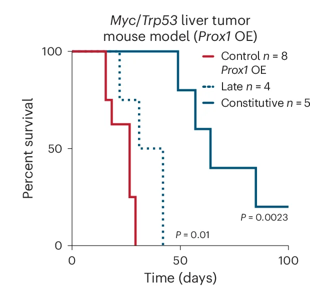 Open access visualization of Survival Curve, Line Plot, Line Step, Survival, Mice