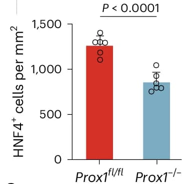 Open access visualization of Bar Plot, Error Bars, DDC Diet, Liver Injury, Regeneration