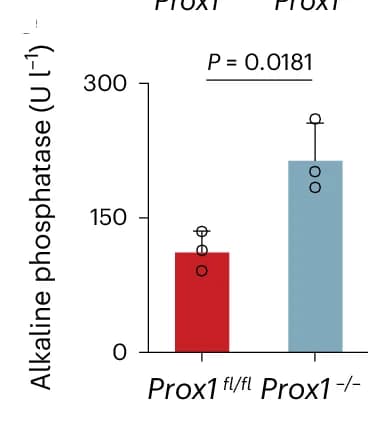 Open access visualization of Bar Plot, Error Bars, Serum ALP Levels, Mice, Bar Graph
