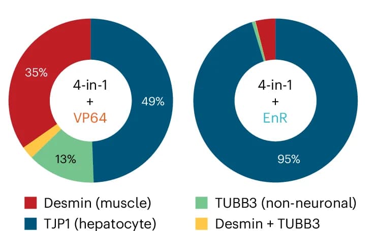 Open access visualization of Donut Chart, Reprogrammed Cells, Cell-Type Markers, Morphology