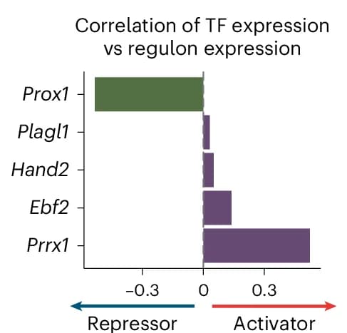 Open access visualization of Bar Plot, Transcription Factor Levels, Gene Expression, Target Genes, Pearson Correlation