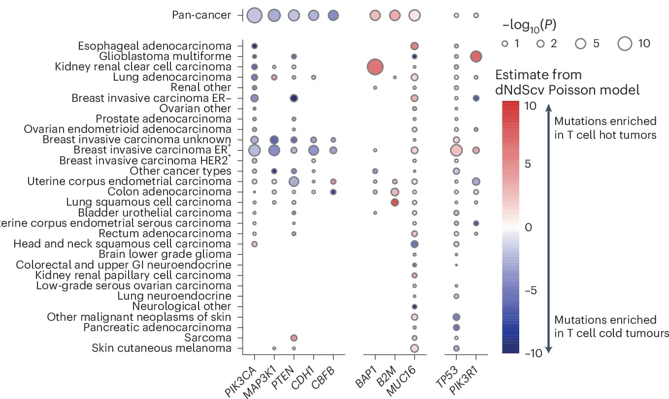 Open access visualization of Bubble Plot, Heatmap, TCRA T Cell Fraction, Poisson Model, Cancer Types