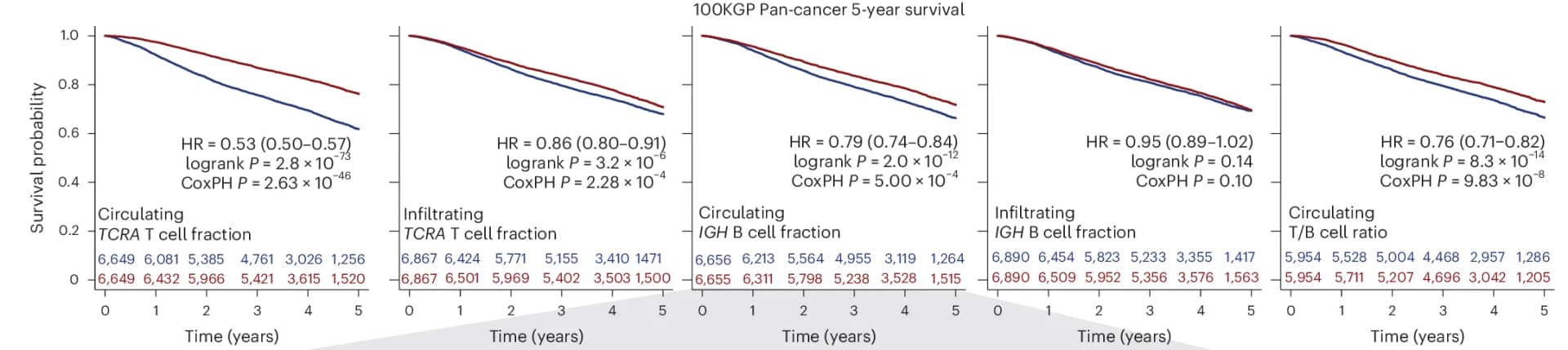 Open access visualization of Survival Curve, Kaplan-Meier Plots, Pan-Cancer, T Cell Fractions, B Cell Fractions