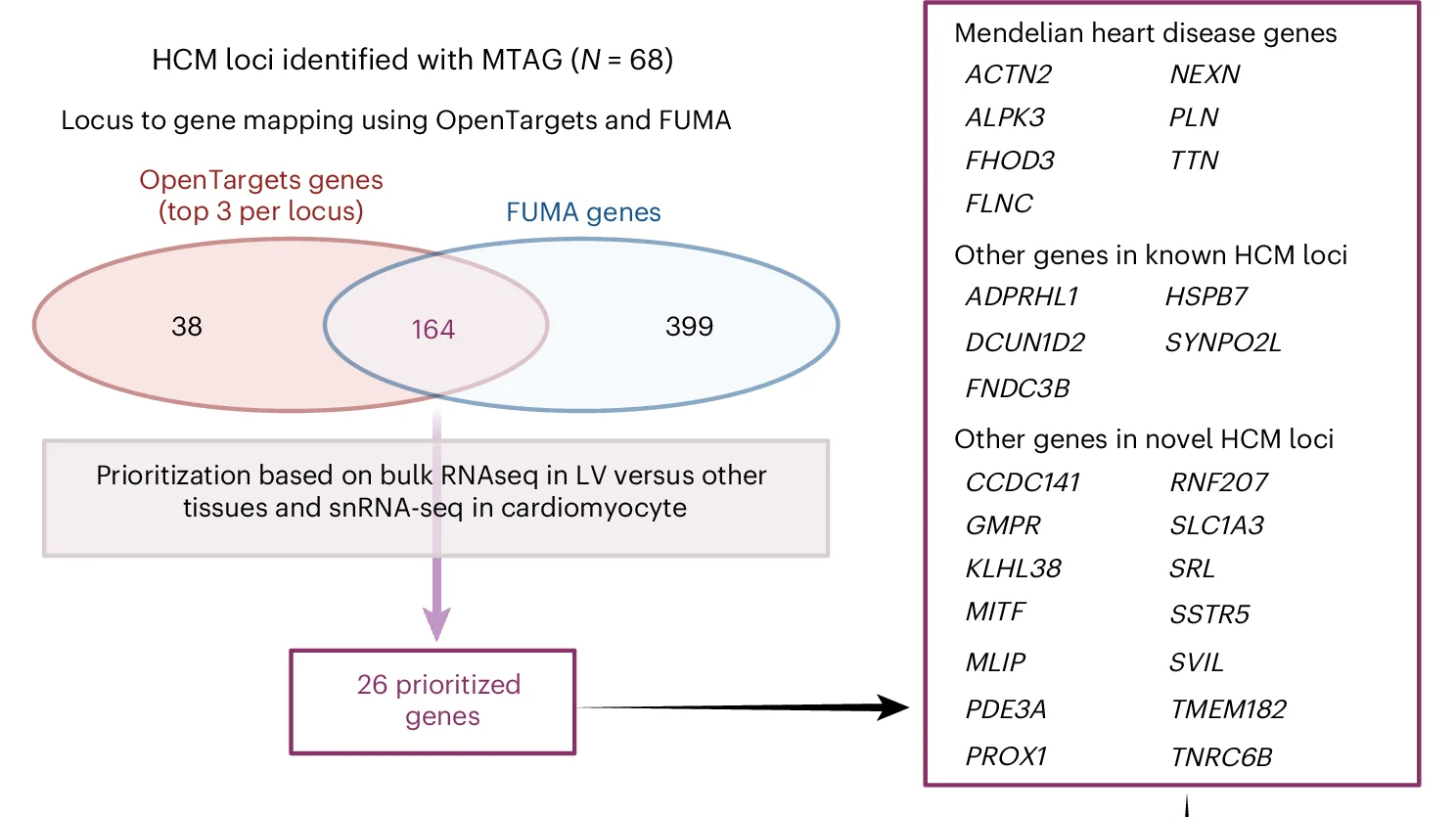 Open access visualization of Venn Diagram, Workflow, HCM, Locus-to-gene Mapping, Cardiac Expression