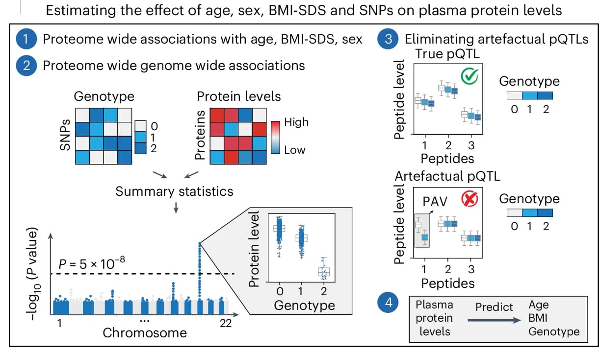 Open access visualization of Workflow, Illustration, Heatmap, Box Plot, Scatter Plot