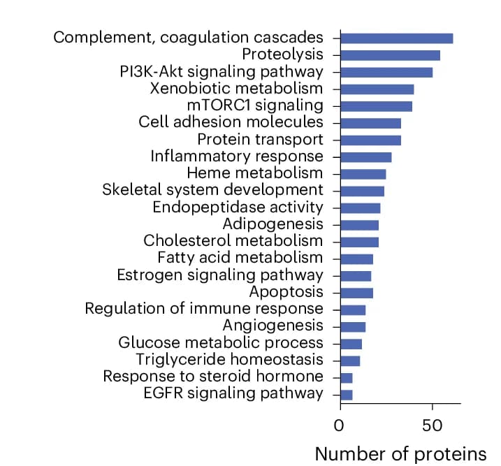 Open access visualization of Bar Plot, Proteins, Biological Processes