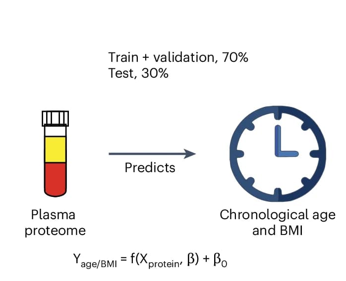 Open access visualization of Workflow, Illustration, Linear Modeling, Age, BMI