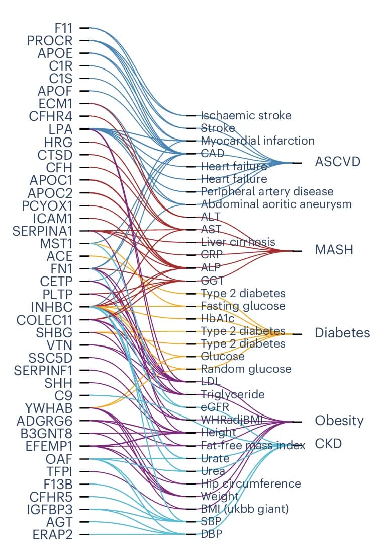 Open access visualization of Sankey, Protein-trait pairs, Coronary Artery Disease, Alanine Aminotransferase, Aspartate Aminotransferase