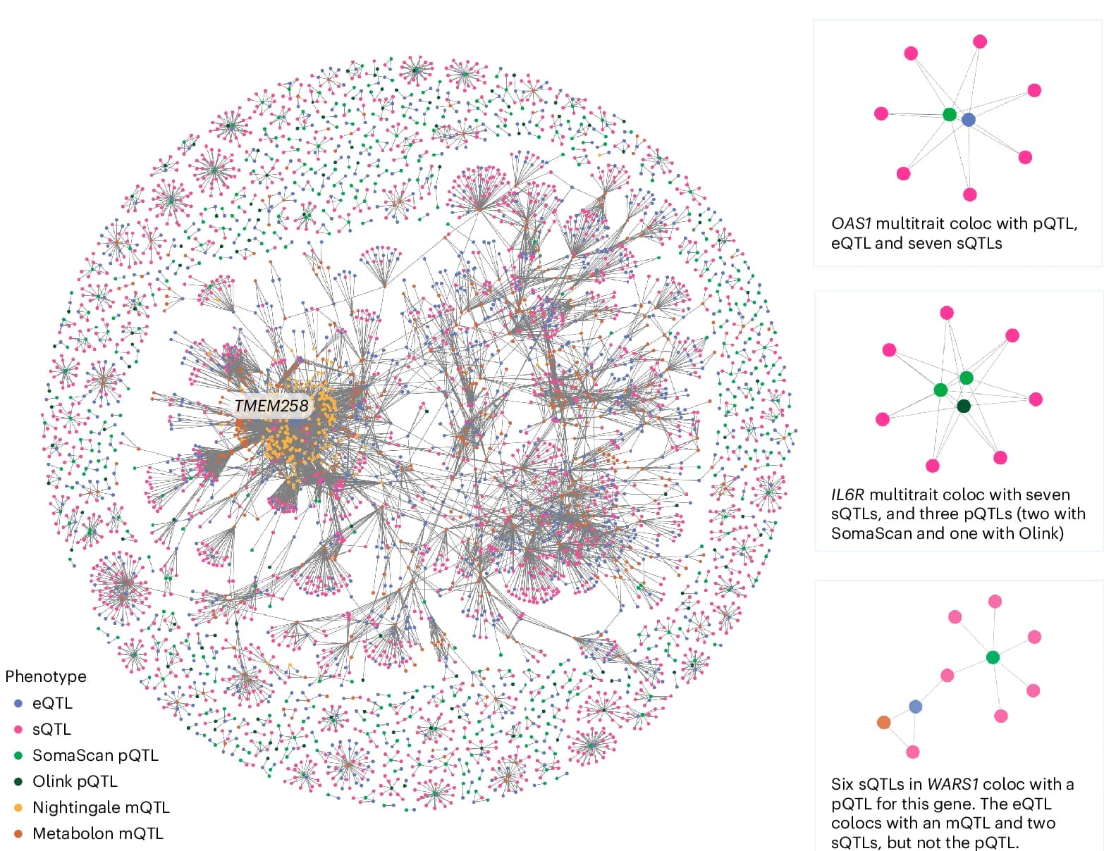 Open access visualization of Network, Pathway, Network Graph, Pairwise Colocalization, OAS1