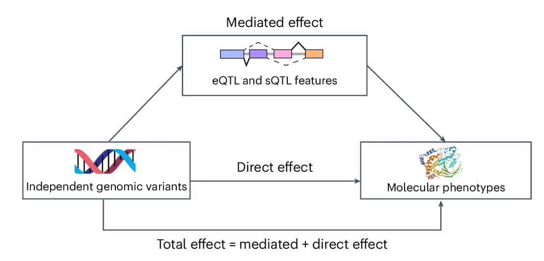 Open access visualization of Workflow, Flowchart, Illustration, Mediation Model, eQTL
