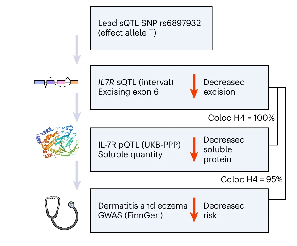 Open access visualization of Workflow, Illustration, sQTL Signals, Plasma Protein, Dermatitis