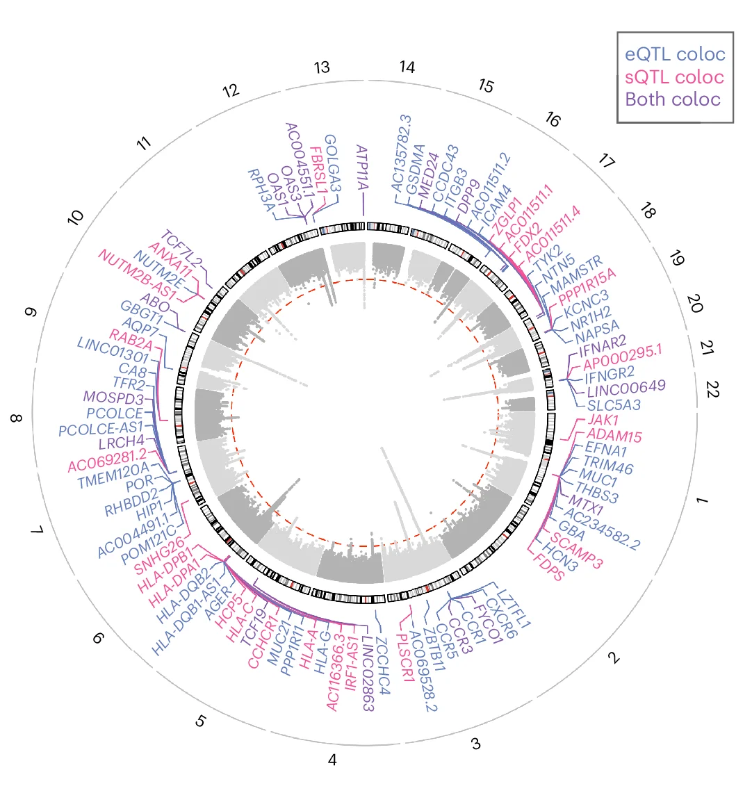 Open access visualization of Scatter Plot, cis-eQTL, cis-sQTL, COVID-19, GWAS